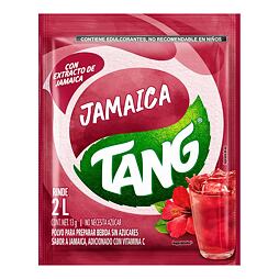 Tang instantní nápoj s příchutí ibišku 13 g