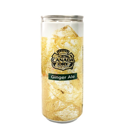 Canada Dry Ginger Ale sparkling soda 250 ml