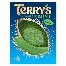 Terry's milk chocolate with mint flavor 145 g