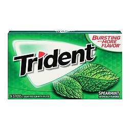 Trident chewing gum with spearmint flavor without sugar 27 g