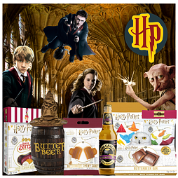 Wizarding World of Harry Potter goodies